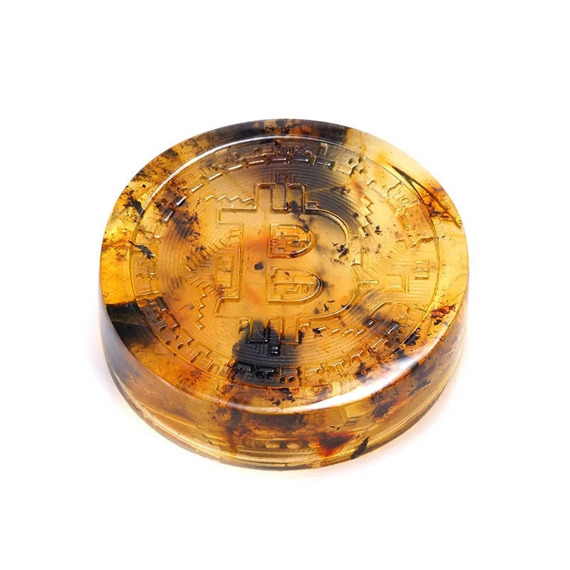 Bitcoin coin made of natural Baltic amber Engraving Coin | Bitcoin Art | Crypto Coin | Bitcoin (BTC) Physical Crypto Coin | Unique Present