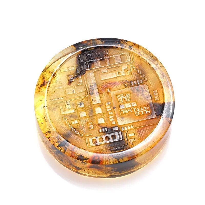 Bitcoin coin made of natural Baltic amber Engraving Coin | Bitcoin Art | Crypto Coin | Bitcoin (BTC) Physical Crypto Coin | Unique Present