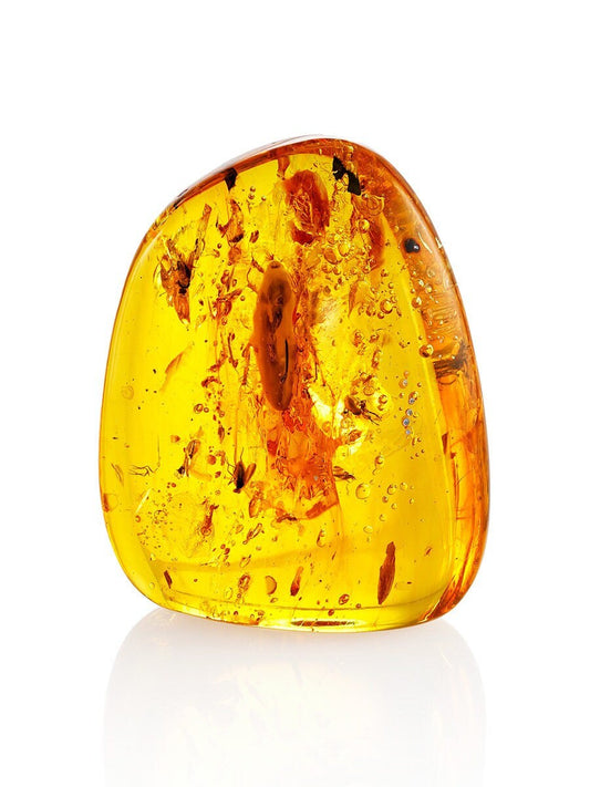 Amber stone raw|Unique insect inclusion in solid amber|Rare Amber Nugget Stone |Natural Amber Gemstone|Souvenir amber