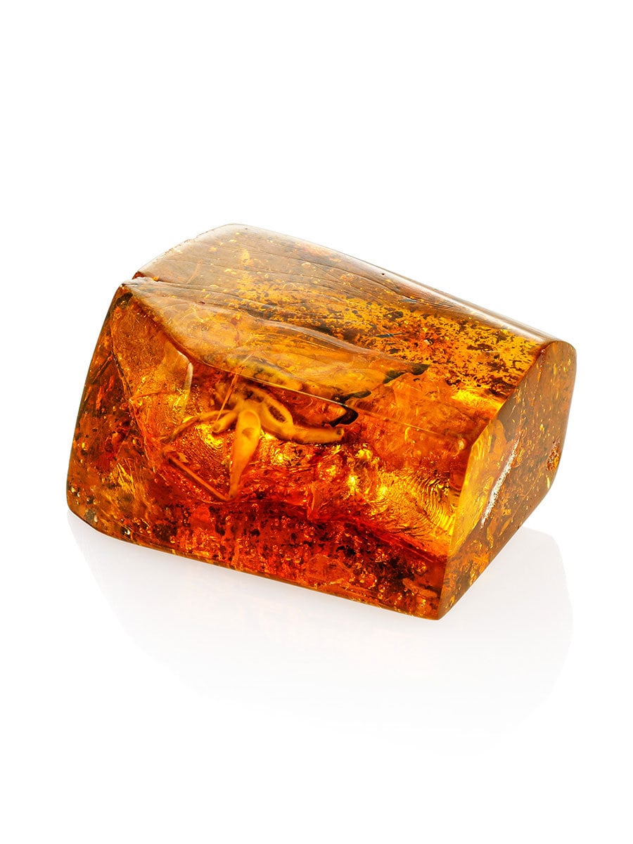 Unusual piece of natural amber with the inclusion of a prehistoric spider|Natural Baltic Amber Gemstone|Raw amber stone